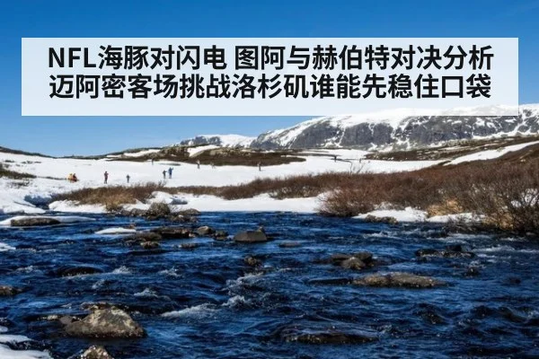 NFL海豚对闪电 图阿与赫伯特对决分析迈阿密客场挑战洛杉矶谁能先稳住口袋